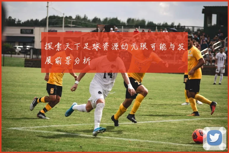 探索天下足球资源的无限可能与发展前景分析