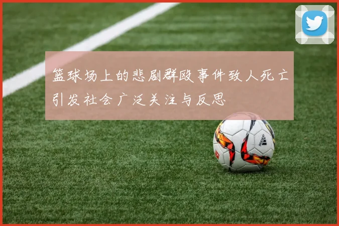 篮球场上的悲剧群殴事件致人死亡引发社会广泛关注与反思